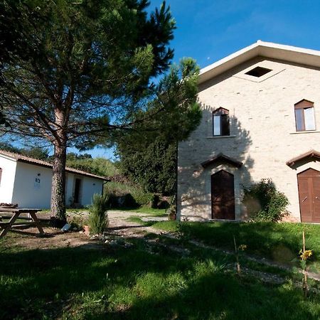 Casa Dell'Orto Konuk evi San Vito Chietino Dış mekan fotoğraf